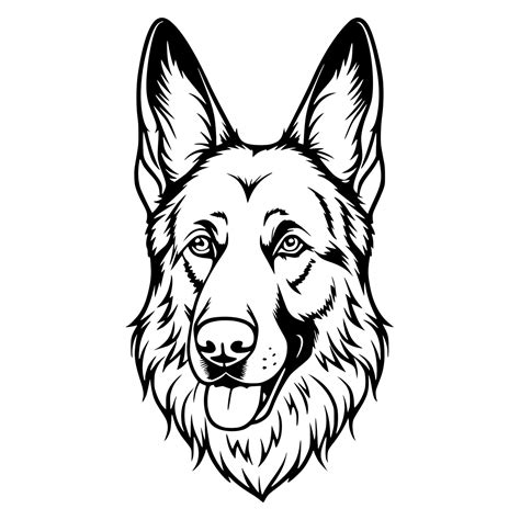 Intelligent German Shepherd – Creative Meadow
