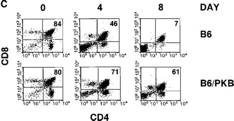 PKB kinase activity protects thymocytes from various apoptosis-inducing ...