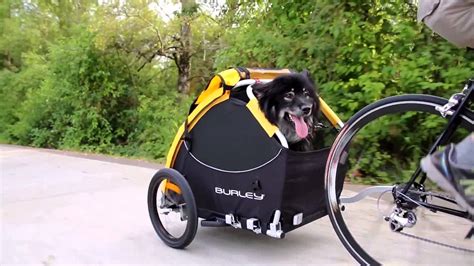 The Burley Tail Wagon Dog Bike Trailer And Stroller Top Dog Tips