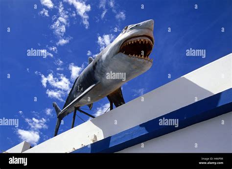 Spain The Canaries Island Fuerteventura Corralejo Shark Sculpture