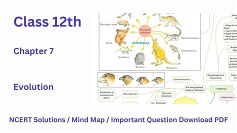 NCERT Solution Class 12 Biology Chapter 7 Evolution Mod Education