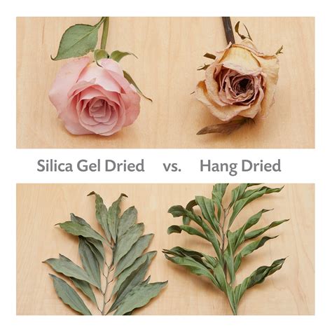 how to use silica gel crystals to dry flowers 6