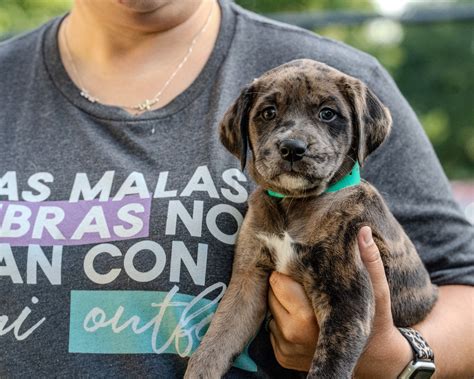 Compassionate - Nine years ago I saw this face for the first time. I