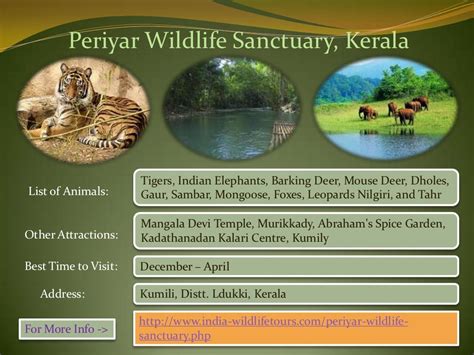 Top 10 Wildlife Sanctuary In India