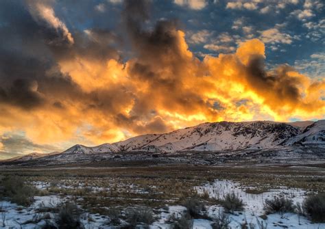 UTA Route 455 Service Between University of Utah and Davis County 7