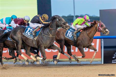 レース概要｜レース情報：2024年ドバイゴールデンシャヒーン 海外競馬発売 Jra