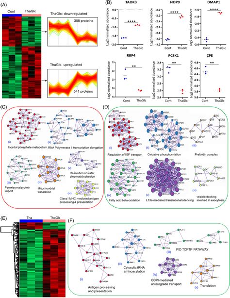 Effects Of Multiple Stressors On Pancreatic Human Islets Proteome