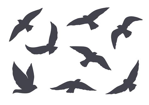 Set of vector birds silhouettes 10922437 Vector Art at Vecteezy