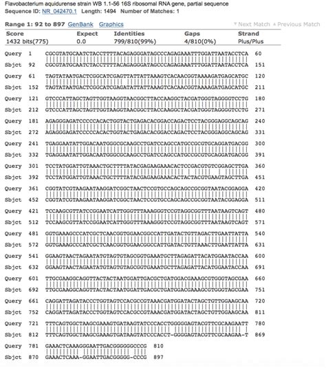 Flavobacterium aquidurense | BIOL250: Microbial diversity in Prince Edward County