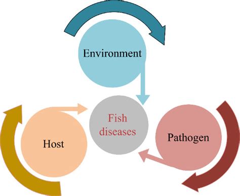 The Interaction Between Host Pathogen And Environment Download