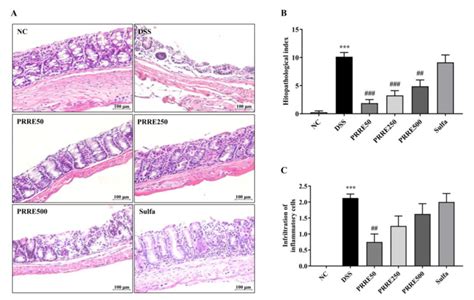 The Effect Of PRRE On Histopathological Damage In The Colon Induced By