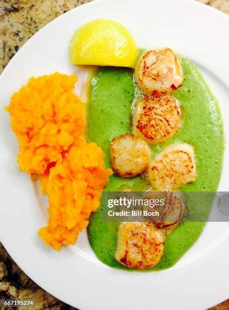 98 Scallop Squash Stock Photos, High-Res Pictures, and Images - Getty Images