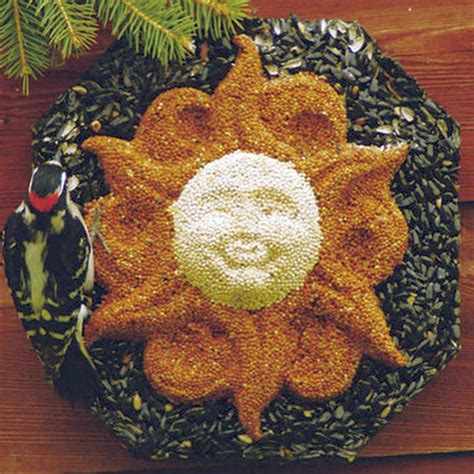 Sun Wreath Hanging Edible Bird Feeder Edible Sunface Bird Seed Feeder