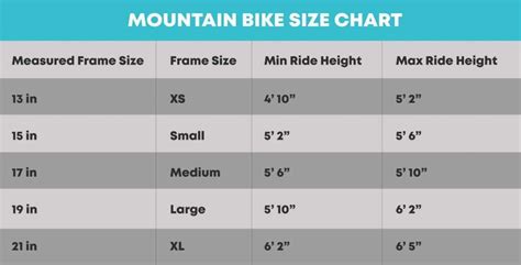 How To Size A Mountain Bike 9 Step Guide