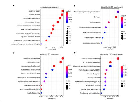 Go And Kegg Enrichment Of Upregulated And Downregulated Genes A Go