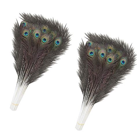 Plume de paon naturelle 27 31 plumes colorées | Etsy