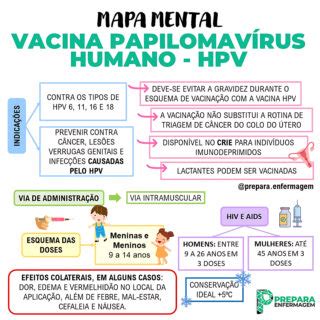 Mapa Mental Hpv - MAPA MENTAL SOBRE HPV - Maps4Study