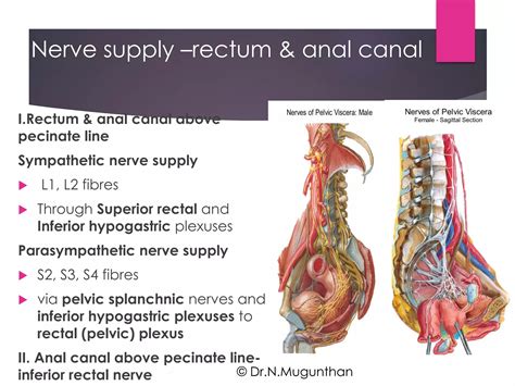 Rectum Anal Canal By Prof Dr N Mugunthan PDF