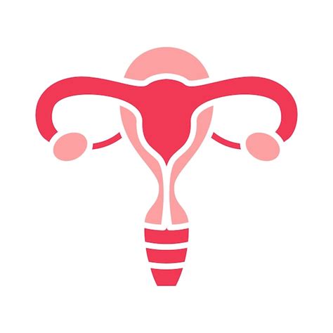 Premium Vector Uterus Set Icon Uterus Ovaries Fallopian Tubes Female