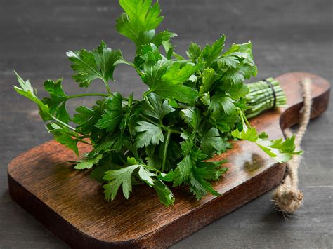 Health Benefits Of Parsley