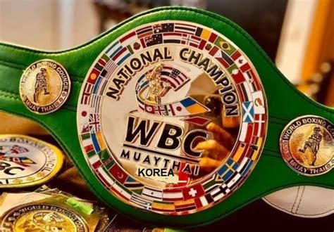 WBC Muay thai World Boxing Council Korea Champion Belt – WC BELTS