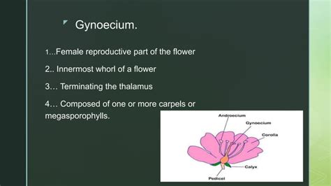 Gynoecium presentation of the day as.pptx