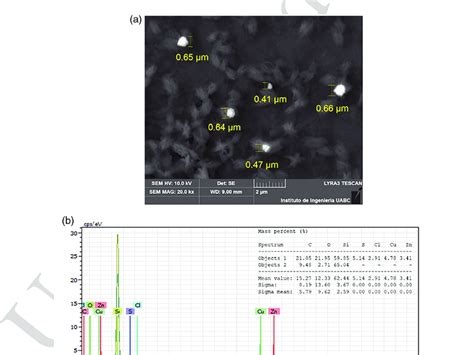 Particle Size Distribution Of Cu Zn Nanoparticles From Crotalaria