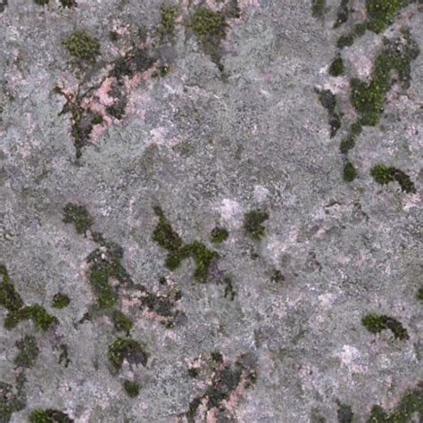 Mossy Stone Texture Seamless