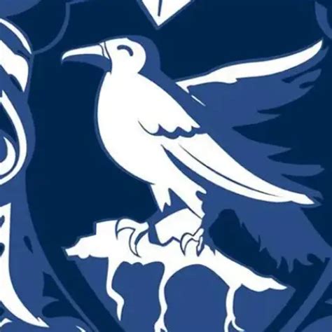 Insane Group Sex XHamster