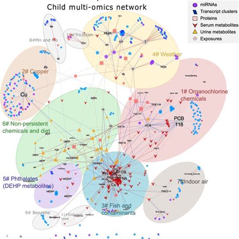 Biological Interpretation Of The Exposome Omics Associations Through