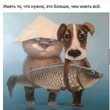 Pin by Крымчаночка on ЦиТАТЫ Фразы удачные мысли Animal quotes