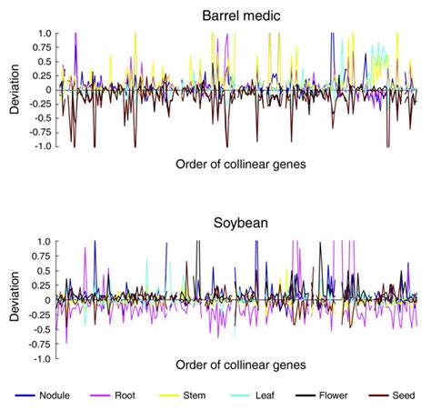 Analysis Of The Transcription Patterns Of Collinear Genes The Download Scientific Diagram