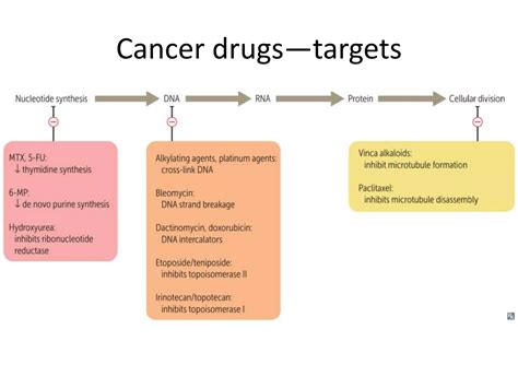 Anti-cancer drugs | PPT