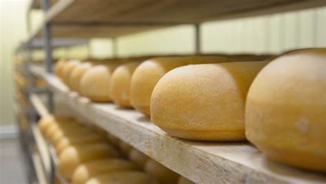 Ребрендинг «Сернура» и продукция из трех видов молока