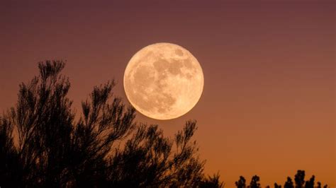 Calendario Lunar De Agosto Cu Les Son Las Fases De La Luna Y