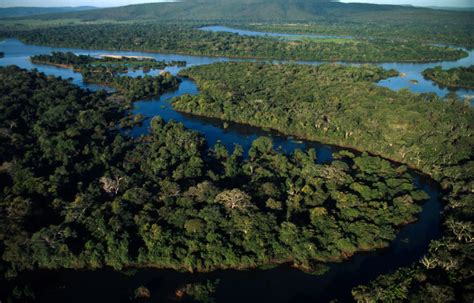 11 Facts About the Pantanal Wetlands