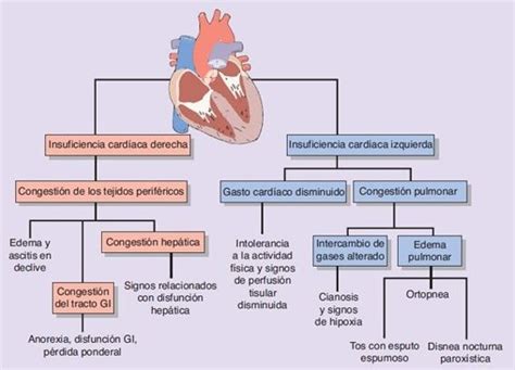 Insuficiencia Card Aca Enfermer A