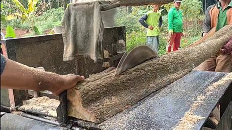 Gergaji Mesin Kayu Serkel Rakitan Membelah Kayu Akasia Kecil Bahan Usuk