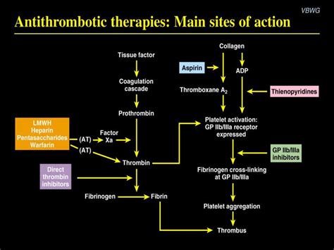 Section B: Science update - ppt download