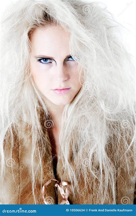 wild angry fierce   fur   stock photo image  beautiful