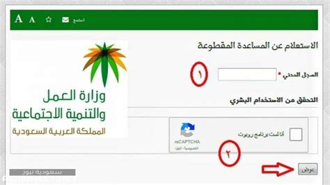 طريقة التسجيل في الضمان الاجتماعي بالخطوات ورابط التسجيل سعودية نيوز