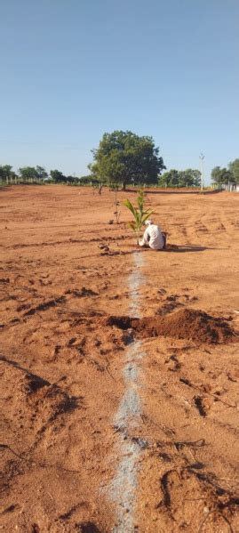 Agricultural Land 121 Sq Yards For Sale In Warangal Highway Hyderabad