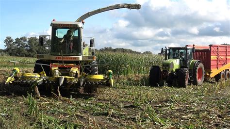 Loonbedrijf Mollink Aan Het Mais Hakselen Met Een Claas Jaguar En