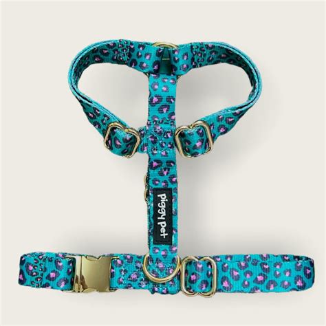 Pettorina Ad H Strap Per Cani Aqua Leopard Piggy Pet