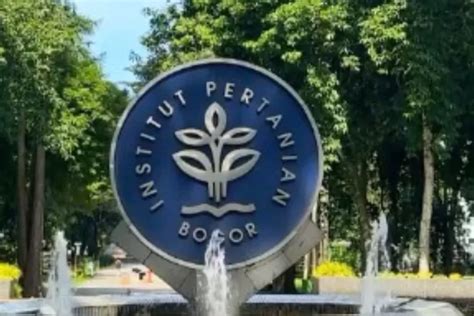 Program Studi Sepi Peminat Di Ipb Dan Jurusan Dengan Ukt Terendah Di