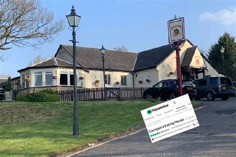 East Kilbride restaurant ranks number one on Trip Advisor - Daily Record