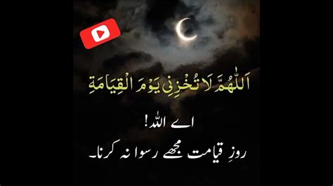 Beautiful Ayat With Tarjuma Qurani Ayat Best Ayat Self Help World Youtube