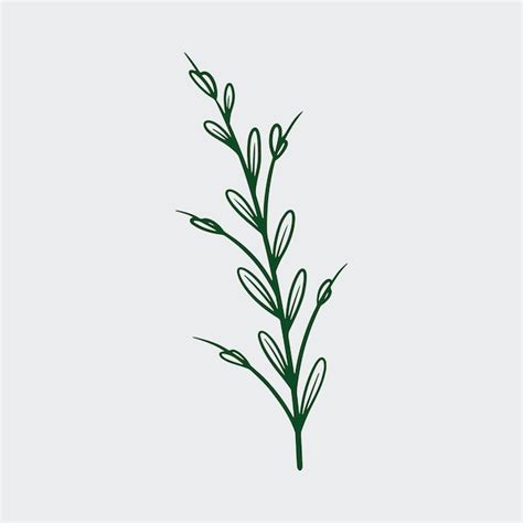 Premium Vector Botanical Flower Illustration Vector Element