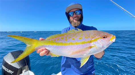 Accidentally Catching Giant Yellowtail Snapper Key West Florida