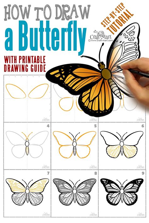 How To Draw A Butterfly Step By Step Easy For Beginners